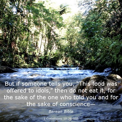 Picture 03 - 1 Corinthians 10:28 BSB - But if someone tells you, “This food was - Bible Verse Picture