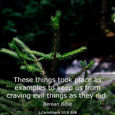 Picture 03 - 1 Corinthians 10:6 BSB - These things took place as examples to keep us - Bible Verse Picture