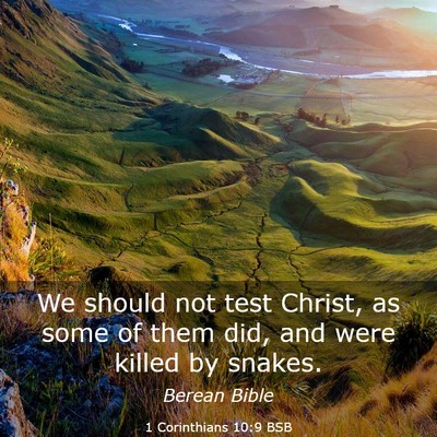 Picture 03 - 1 Corinthians 10:9 BSB - We should not test Christ, as some of them did, - Bible Verse Picture