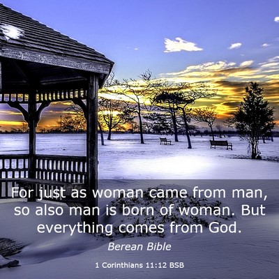 Picture 03 - 1 Corinthians 11:12 BSB - For just as woman came from man, so also man is - Bible Verse Picture