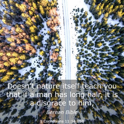 Picture 03 - 1 Corinthians 11:14 BSB - Doesn’t nature itself teach you that if a man - Bible Verse Picture