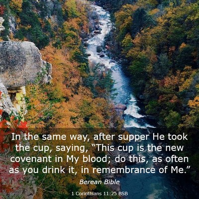 Picture 03 - 1 Corinthians 11:25 BSB - In the same way, after supper He took the cup, - Bible Verse Picture