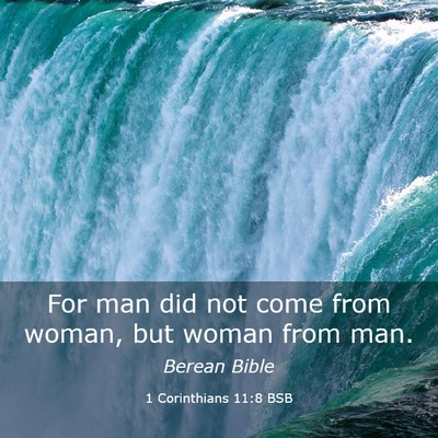 Picture 03 - 1 Corinthians 11:8 BSB - For man did not come from woman, but woman from - Bible Verse Picture