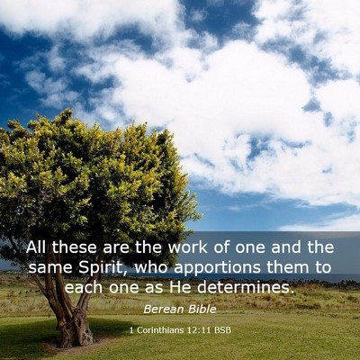Picture 03 - 1 Corinthians 12:11 BSB - All these are the work of one and the same - Bible Verse Picture