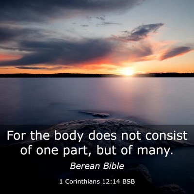 Picture 03 - 1 Corinthians 12:14 BSB - For the body does not consist of one part, but of - Bible Verse Picture