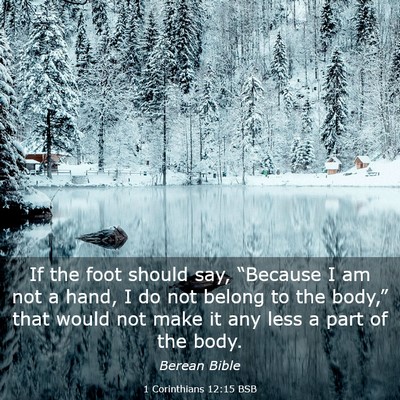Picture 03 - 1 Corinthians 12:15 BSB - If the foot should say, “Because I am not a - Bible Verse Picture