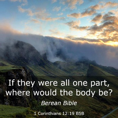 Picture 03 - 1 Corinthians 12:19 BSB - If they were all one part, where would the body - Bible Verse Picture