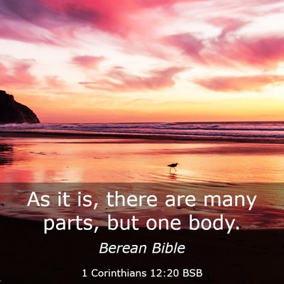 Picture 03 - 1 Corinthians 12:20 BSB - As it is, there are many parts, but one - Bible Verse Picture