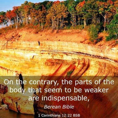 Picture 03 - 1 Corinthians 12:22 BSB - On the contrary, the parts of the body that seem - Bible Verse Picture