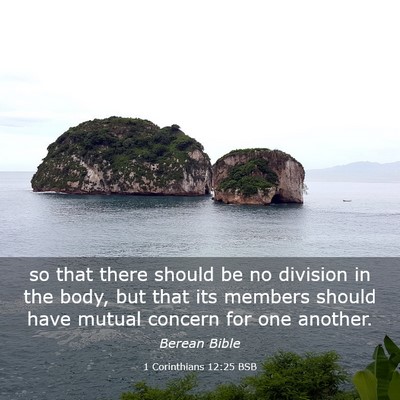 Picture 03 - 1 Corinthians 12:25 BSB - so that there should be no division in the body, - Bible Verse Picture