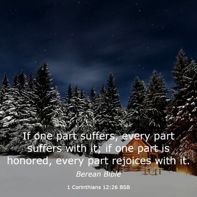 Picture 03 - 1 Corinthians 12:26 BSB - If one part suffers, every part suffers with it; - Bible Verse Picture