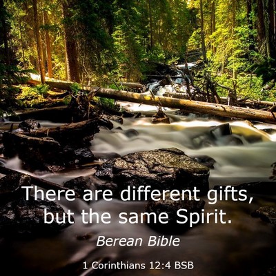 Picture 03 - 1 Corinthians 12:4 BSB - There are different gifts, but the same - Bible Verse Picture