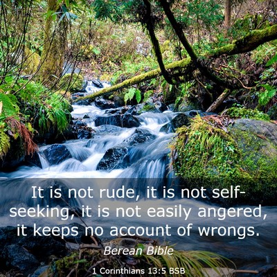 Picture 03 - 1 Corinthians 13:5 BSB - It is not rude, it is not self-seeking, it is not - Bible Verse Picture