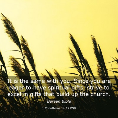 Picture 03 - 1 Corinthians 14:12 BSB - It is the same with you. Since you are eager to - Bible Verse Picture