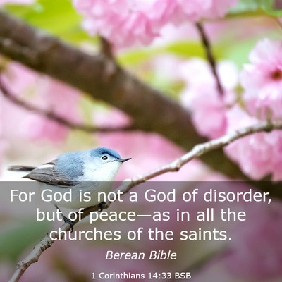 Picture 03 - 1 Corinthians 14:33 BSB - For God is not a God of disorder, but of - Bible Verse Picture