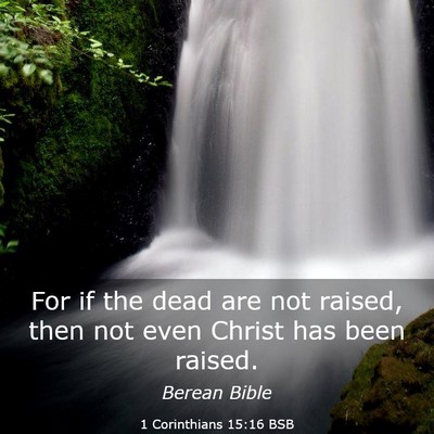 Picture 03 - 1 Corinthians 15:16 BSB - For if the dead are not raised, then not even - Bible Verse Picture