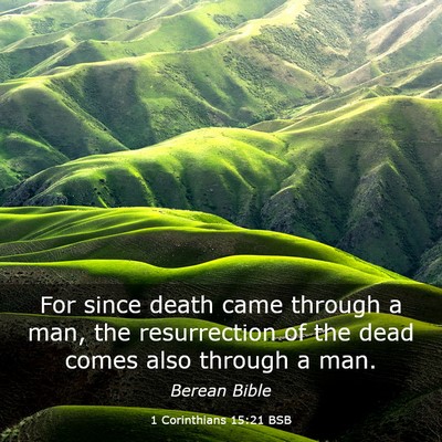 Picture 03 - 1 Corinthians 15:21 BSB - For since death came through a man, the - Bible Verse Picture