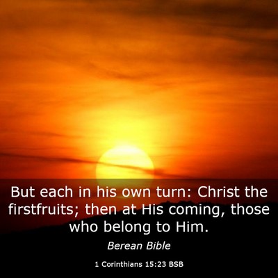 Picture 03 - 1 Corinthians 15:23 BSB - But each in his own turn: Christ the firstfruits; - Bible Verse Picture
