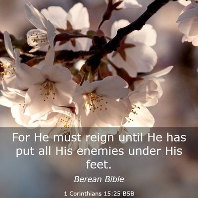 Picture 03 - 1 Corinthians 15:25 BSB - For He must reign until He has put all His - Bible Verse Picture