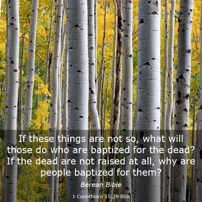 Picture 03 - 1 Corinthians 15:29 BSB - If these things are not so, what will those do - Bible Verse Picture