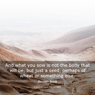 Picture 03 - 1 Corinthians 15:37 BSB - And what you sow is not the body that will be, - Bible Verse Picture