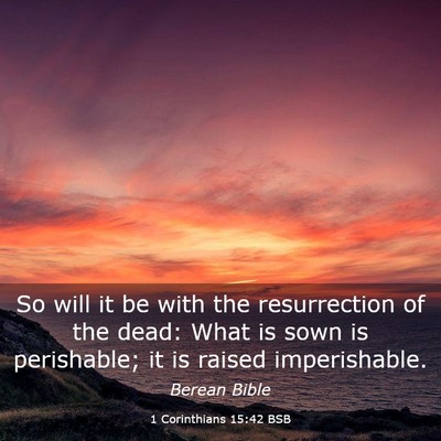 Picture 03 - 1 Corinthians 15:42 BSB - So will it be with the resurrection of the dead: - Bible Verse Picture