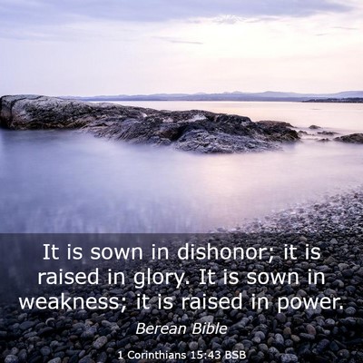Picture 03 - 1 Corinthians 15:43 BSB - It is sown in dishonor; it is raised in glory. It - Bible Verse Picture