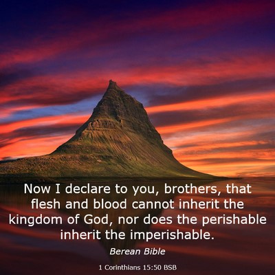 Picture 03 - 1 Corinthians 15:50 BSB - Now I declare to you, brothers, that flesh and - Bible Verse Picture
