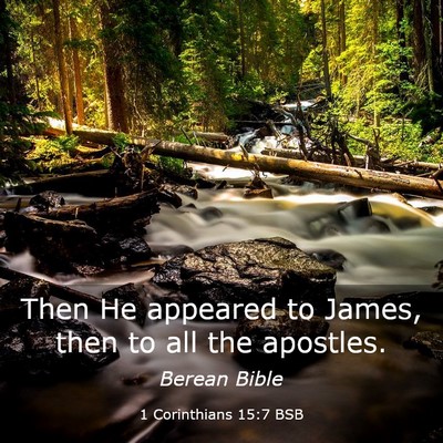 Picture 03 - 1 Corinthians 15:7 BSB - Then He appeared to James, then to all the - Bible Verse Picture