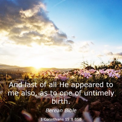 Picture 03 - 1 Corinthians 15:8 BSB - And last of all He appeared to me also, as to one - Bible Verse Picture