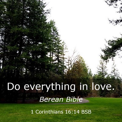 Picture 03 - 1 Corinthians 16:14 BSB - Do everything in - Bible Verse Picture
