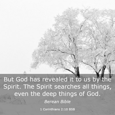 Picture 03 - 1 Corinthians 2:10 BSB - But God has revealed it to us by the Spirit. The - Bible Verse Picture