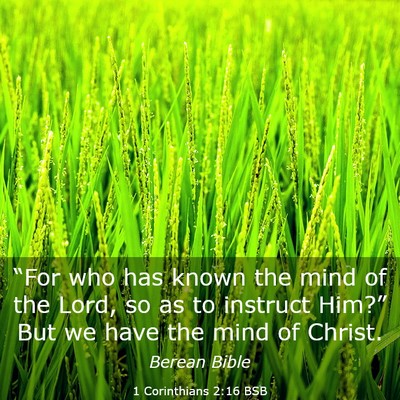 Picture 03 - 1 Corinthians 2:16 BSB - “For who has known the mind of the Lord, so as - Bible Verse Picture