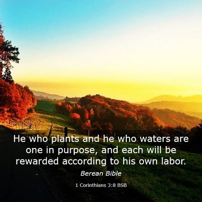 Picture 03 - 1 Corinthians 3:8 BSB - He who plants and he who waters are one in - Bible Verse Picture