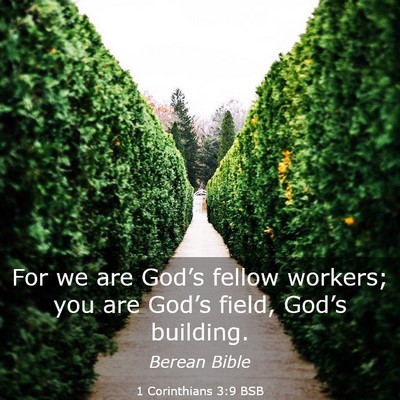 Picture 03 - 1 Corinthians 3:9 BSB - For we are God’s fellow workers; you are - Bible Verse Picture