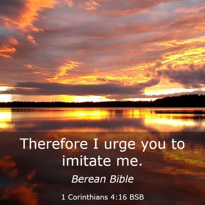 Picture 03 - 1 Corinthians 4:16 BSB - Therefore I urge you to imitate - Bible Verse Picture