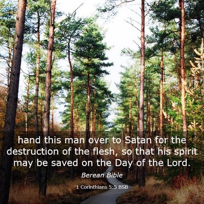 Picture 03 - 1 Corinthians 5:5 BSB - hand this man over to Satan for the destruction - Bible Verse Picture