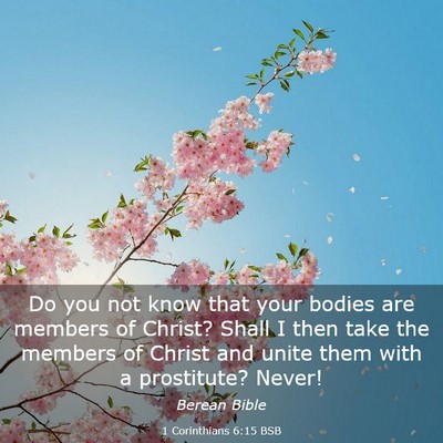 Picture 03 - 1 Corinthians 6:15 BSB - Do you not know that your bodies are members of - Bible Verse Picture
