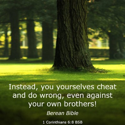 Picture 03 - 1 Corinthians 6:8 BSB - Instead, you yourselves cheat and do wrong, even - Bible Verse Picture