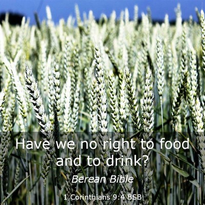 Picture 03 - 1 Corinthians 9:4 BSB - Have we no right to food and to - Bible Verse Picture