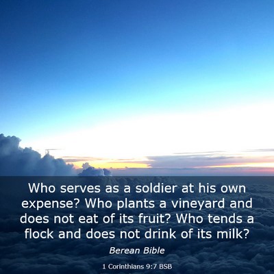 Picture 03 - 1 Corinthians 9:7 BSB - Who serves as a soldier at his own expense? Who - Bible Verse Picture