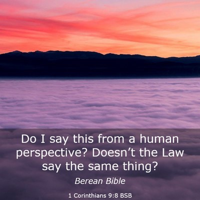 Picture 03 - 1 Corinthians 9:8 BSB - Do I say this from a human perspective? Doesn’t - Bible Verse Picture