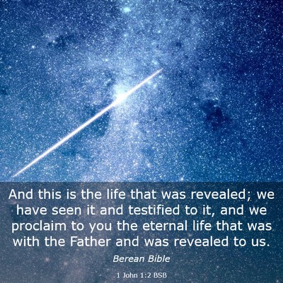 Picture 03 - 1 John 1:2 BSB - And this is the life that was revealed; we have - Bible Verse Picture