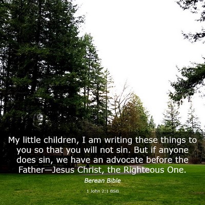 Picture 03 - 1 John 2:1 BSB - My little children, I am writing these things to - Bible Verse Picture