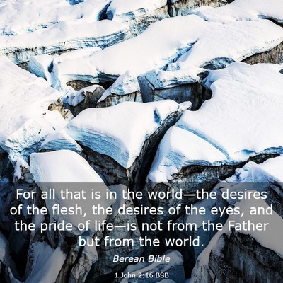Picture 03 - 1 John 2:16 BSB - For all that is in the world—the desires of the - Bible Verse Picture