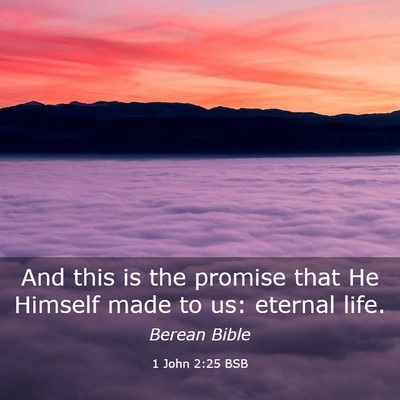 Picture 03 - 1 John 2:25 BSB - And this is the promise that He Himself made to - Bible Verse Picture