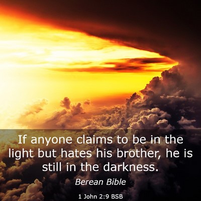 Picture 03 - 1 John 2:9 BSB - If anyone claims to be in the light but hates his - Bible Verse Picture