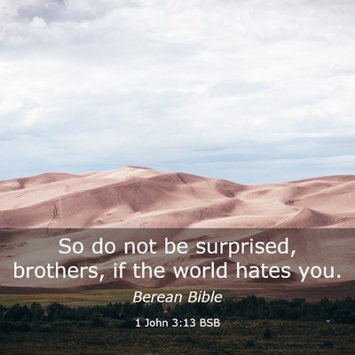 Picture 03 - 1 John 3:13 BSB - So do not be surprised, brothers, if the world - Bible Verse Picture