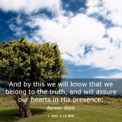 Picture 03 - 1 John 3:19 BSB - And by this we will know that we belong to the - Bible Verse Picture