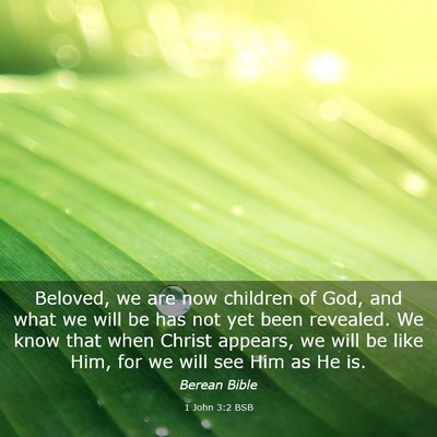 Picture 03 - 1 John 3:2 BSB - Beloved, we are now children of God, and what we - Bible Verse Picture